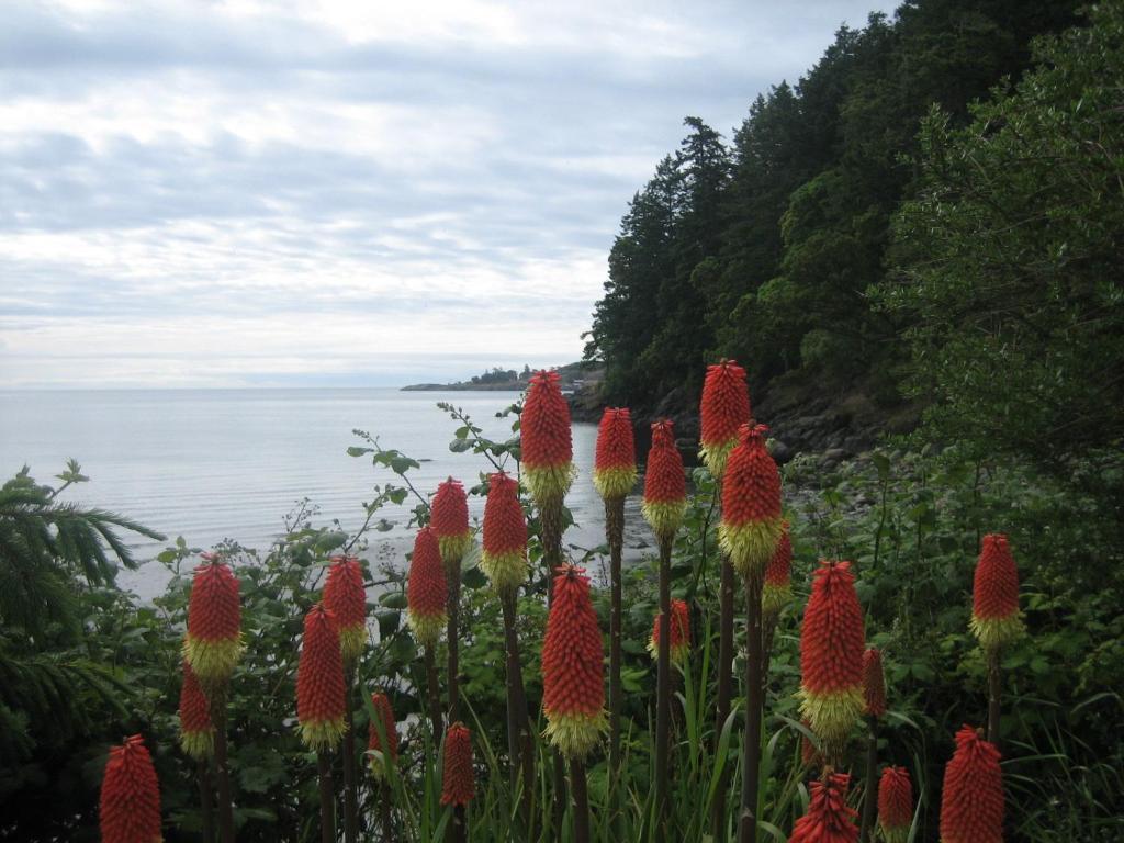 The Lodge At Weir'S Beach Metchosin Экстерьер фото