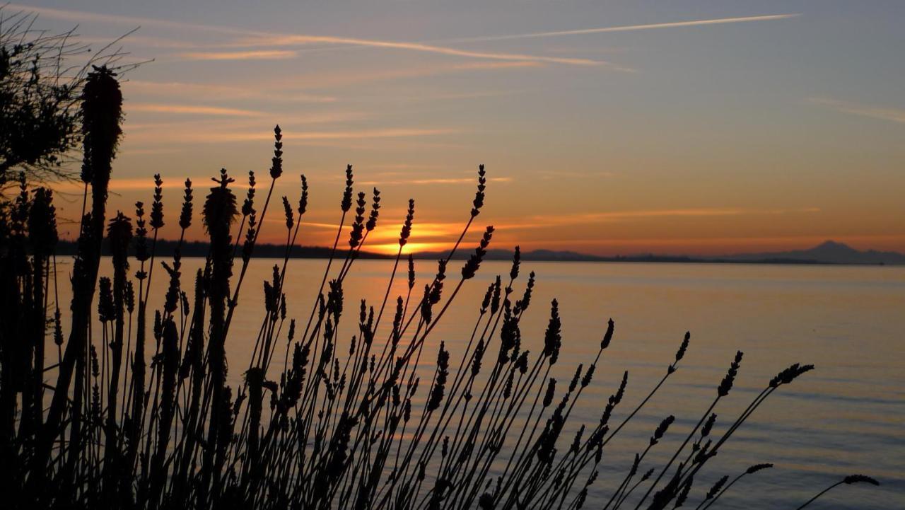 The Lodge At Weir'S Beach Metchosin Экстерьер фото